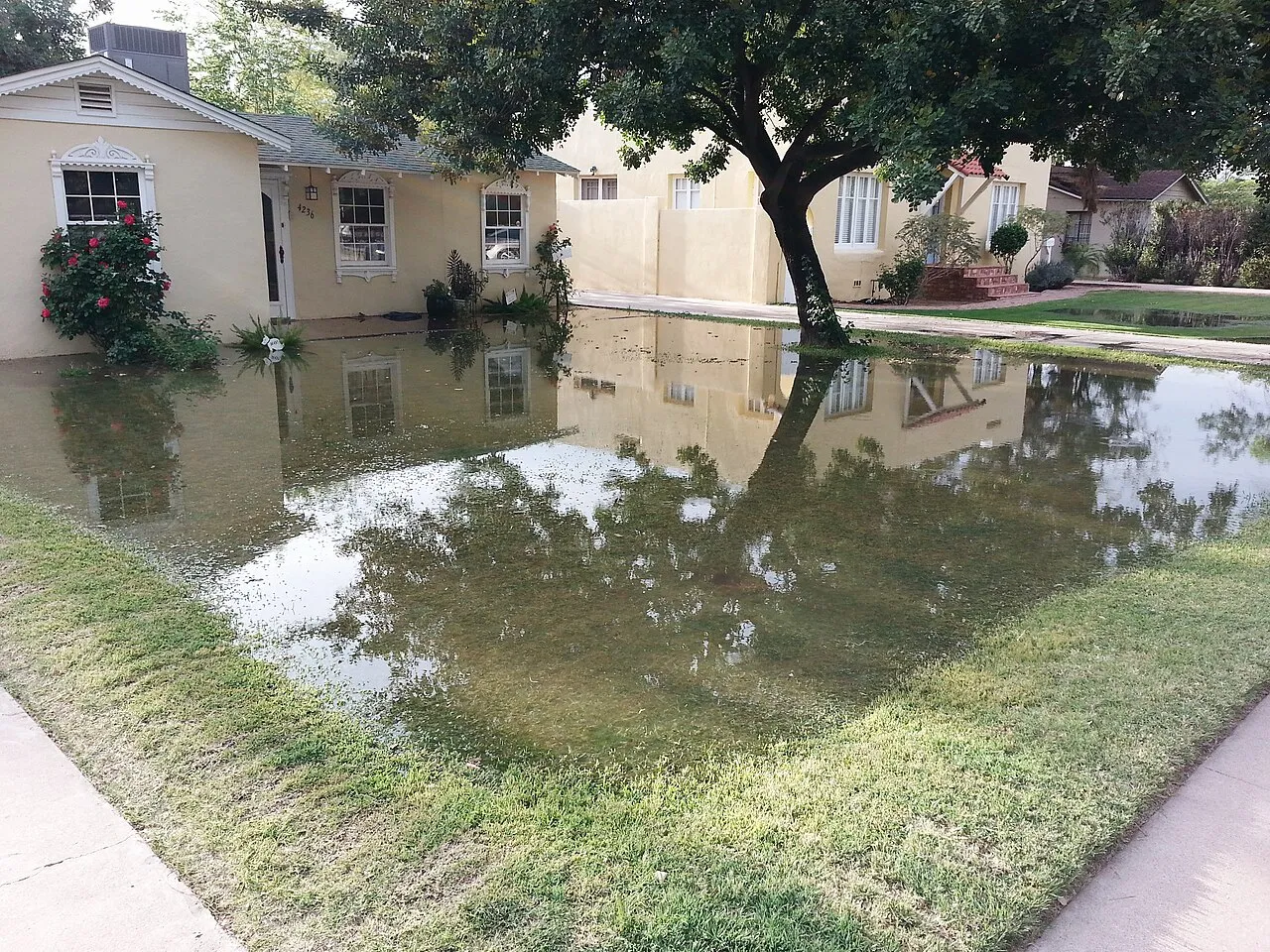 Residential flood irrigation in Phoenix, Arizona, in the United States of America