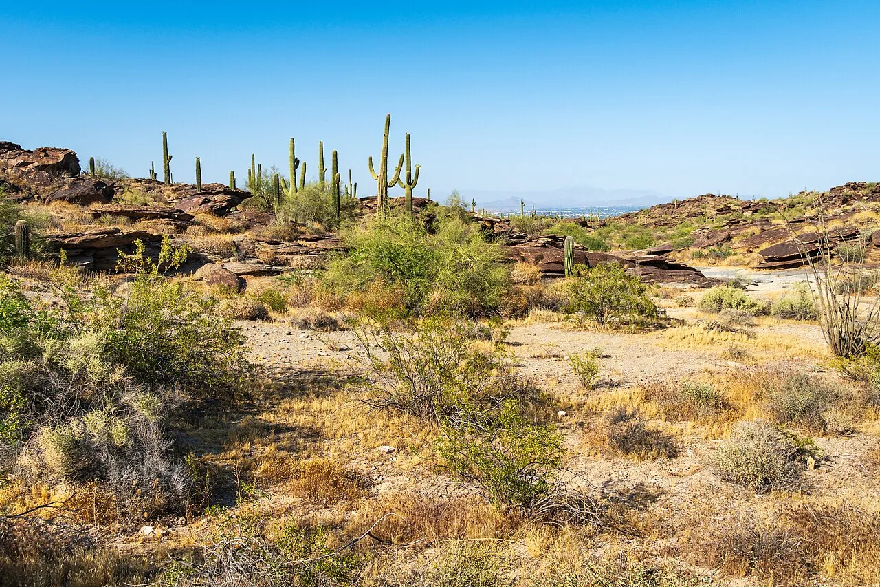 South Mountain Park, Phoenix, Arizona, USA (54403134809)
